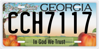 GA license plate CCH7117