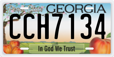 GA license plate CCH7134