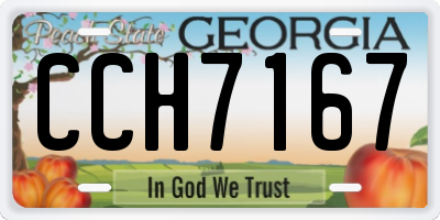 GA license plate CCH7167