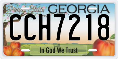 GA license plate CCH7218