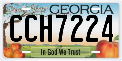 GA license plate CCH7224