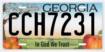 GA license plate CCH7231