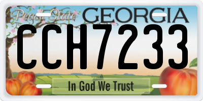 GA license plate CCH7233