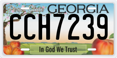 GA license plate CCH7239