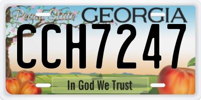 GA license plate CCH7247