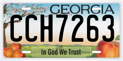 GA license plate CCH7263
