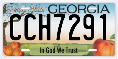 GA license plate CCH7291