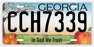 GA license plate CCH7339