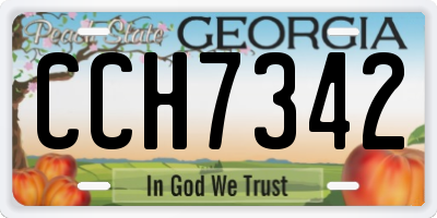 GA license plate CCH7342