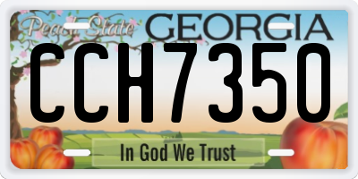 GA license plate CCH7350