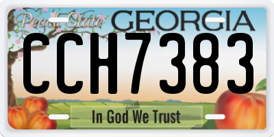 GA license plate CCH7383