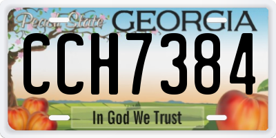 GA license plate CCH7384