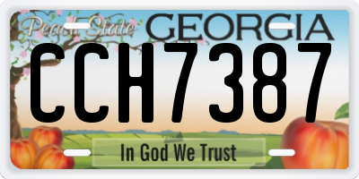 GA license plate CCH7387