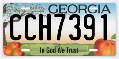 GA license plate CCH7391