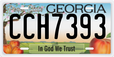 GA license plate CCH7393