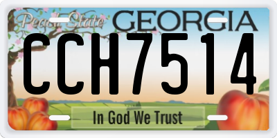 GA license plate CCH7514