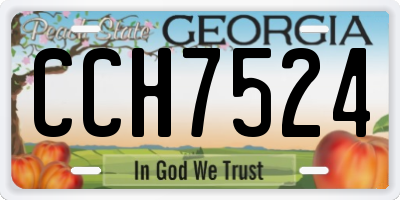 GA license plate CCH7524