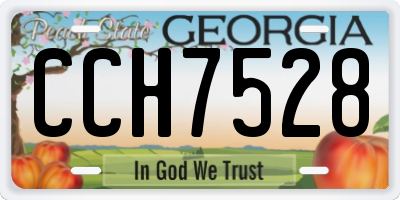 GA license plate CCH7528