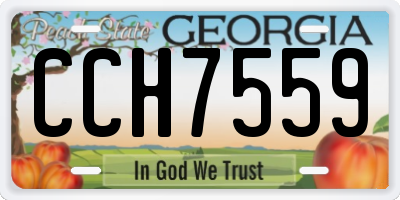 GA license plate CCH7559