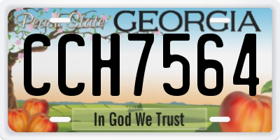 GA license plate CCH7564