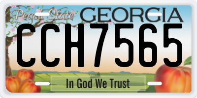 GA license plate CCH7565
