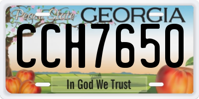 GA license plate CCH7650
