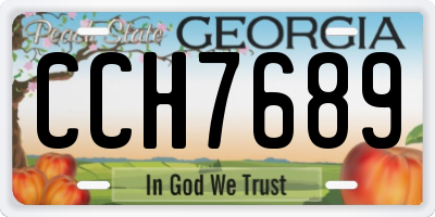 GA license plate CCH7689