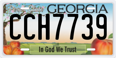 GA license plate CCH7739