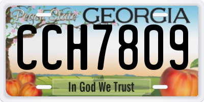 GA license plate CCH7809