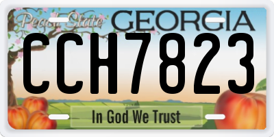 GA license plate CCH7823
