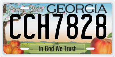 GA license plate CCH7828