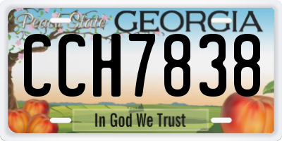 GA license plate CCH7838