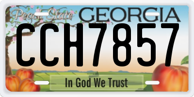GA license plate CCH7857