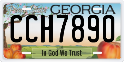 GA license plate CCH7890