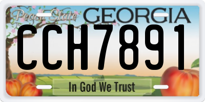 GA license plate CCH7891