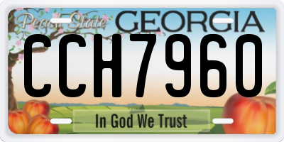 GA license plate CCH7960