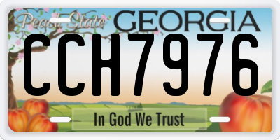 GA license plate CCH7976