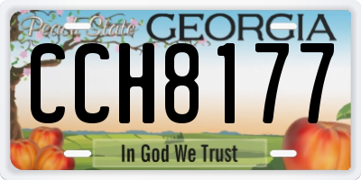 GA license plate CCH8177