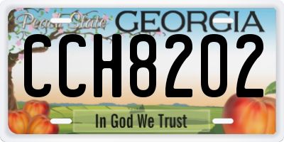 GA license plate CCH8202