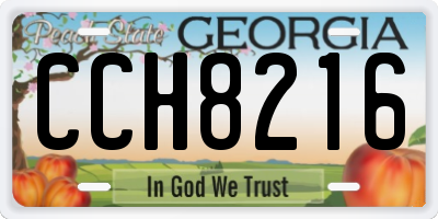 GA license plate CCH8216