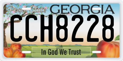 GA license plate CCH8228