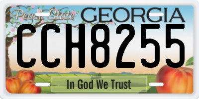 GA license plate CCH8255