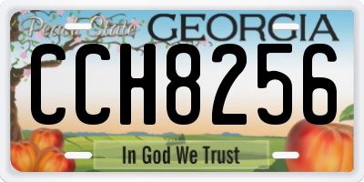 GA license plate CCH8256