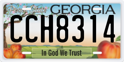 GA license plate CCH8314