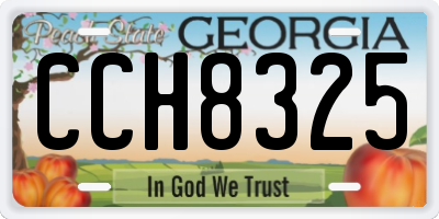 GA license plate CCH8325