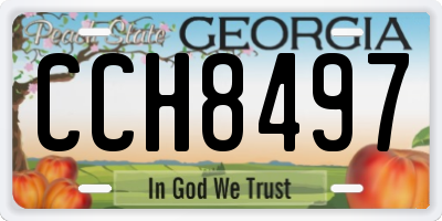 GA license plate CCH8497