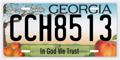 GA license plate CCH8513