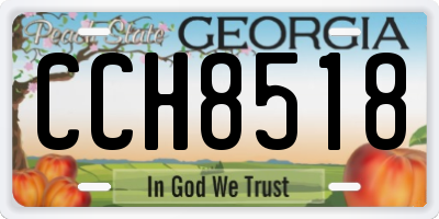 GA license plate CCH8518