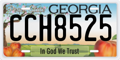 GA license plate CCH8525