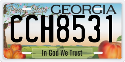 GA license plate CCH8531